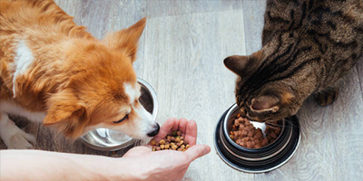 weolcome to our website