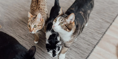 News Seventeen: weolcome to our website