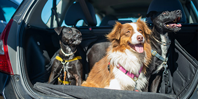 News Fourteen: weolcome to our website