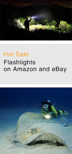 Electronics Hardware