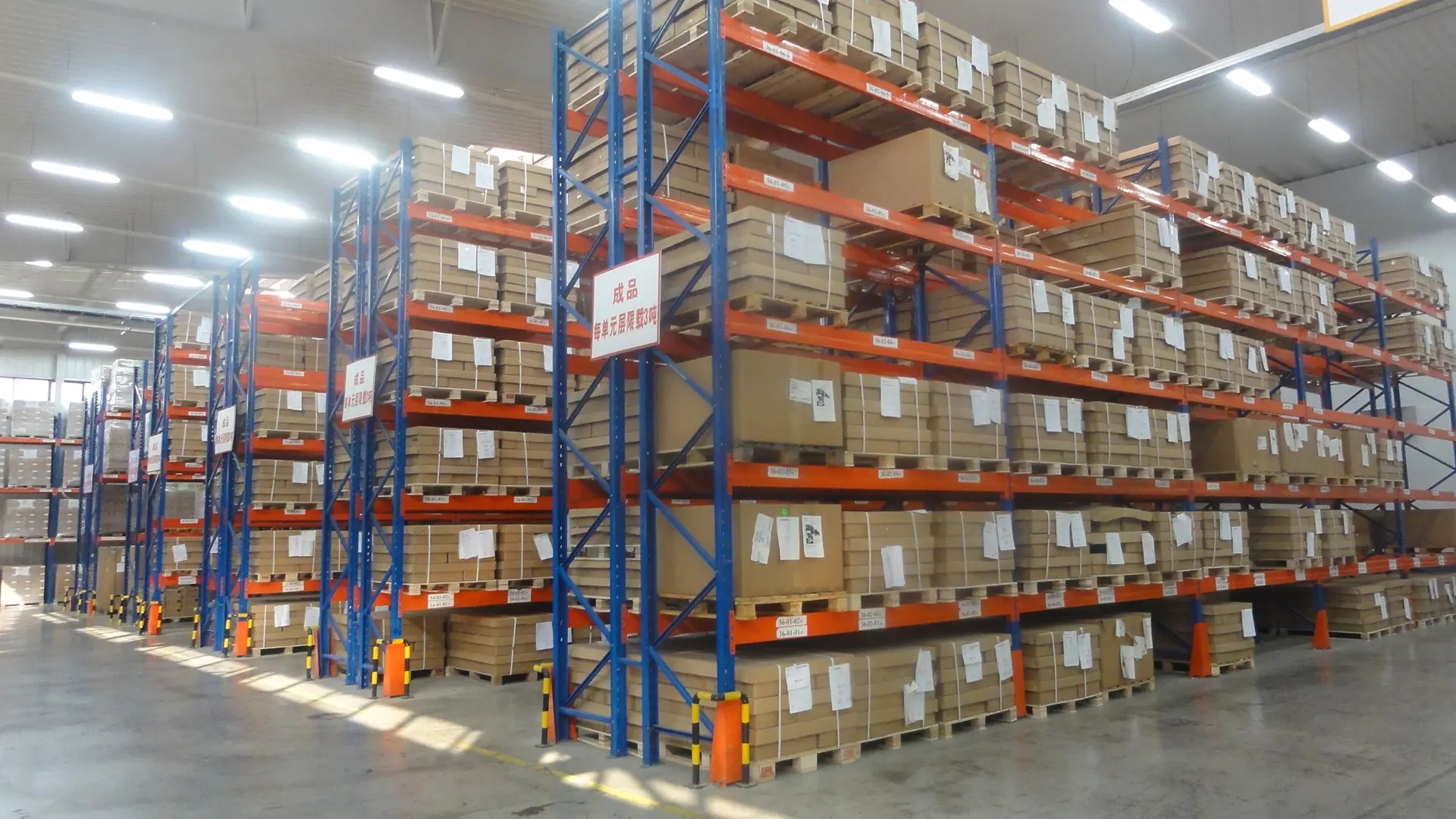 Leading Consumer Products Showcase